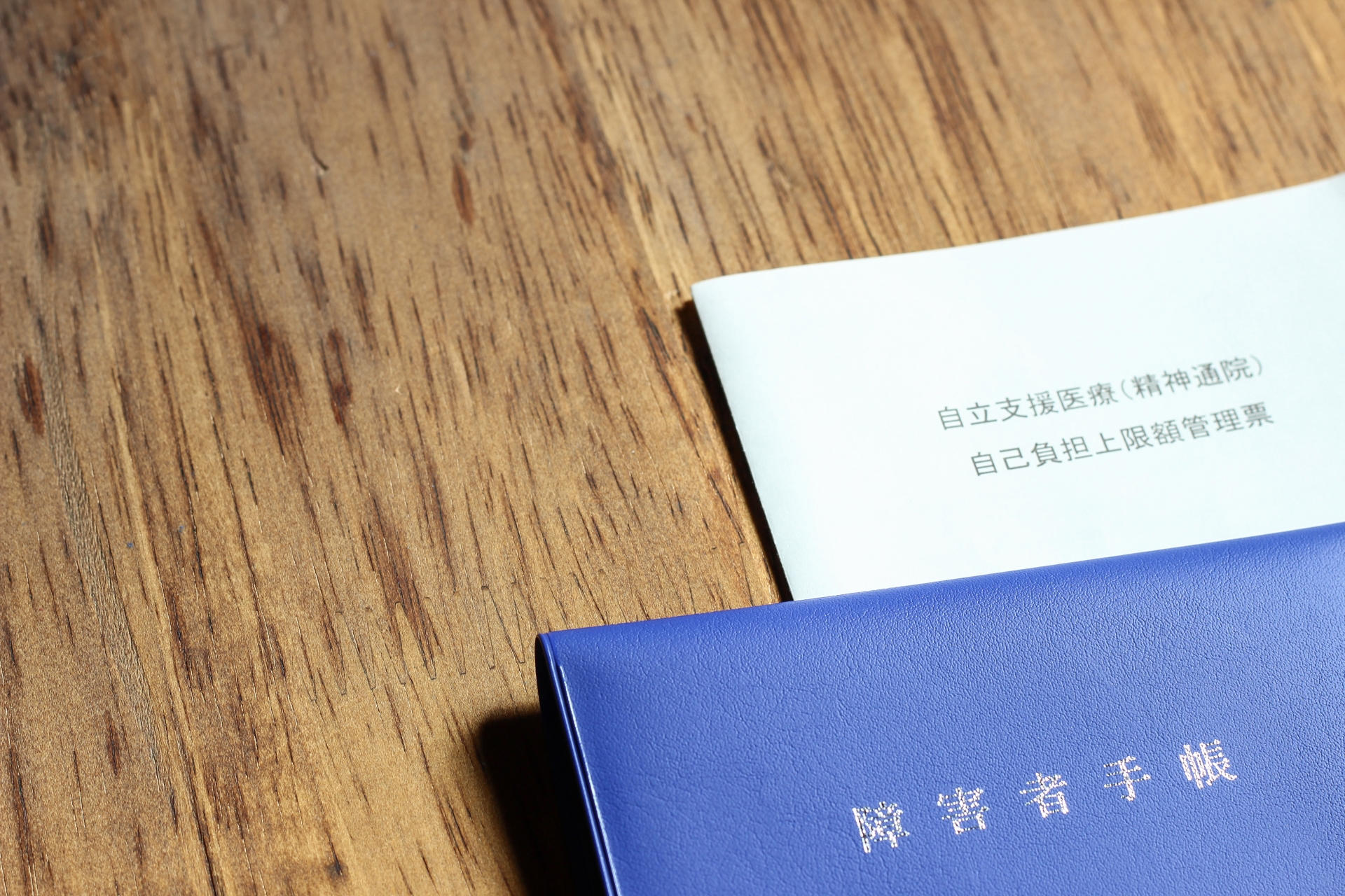 保護中: 就労継続支援事業所とは？ほかの障害福祉サービスとあわせて解説！